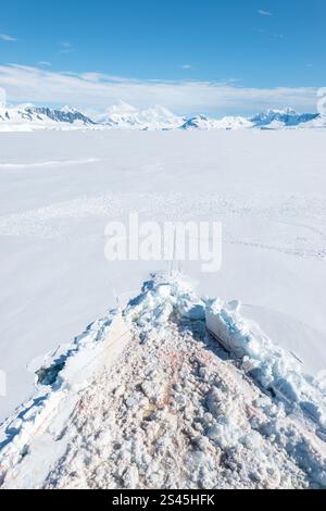 Pista della nave da crociera prua nel ghiaccio innevato. Foto Stock
