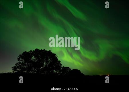 Aurora boreale sopra e vicino a Winkler, Manitoba, Canada. Foto Stock