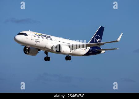 Lufthansa Airbus A320-271N (REG: D-AINY) con i titoli LoveHansa. Foto Stock