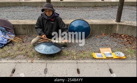 Il percorso del filosofo lungo un canale a Kyoto in Giappone Foto Stock
