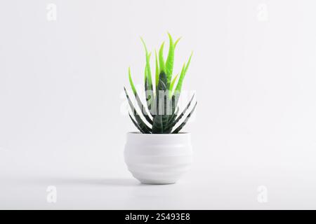 Pianta artificiale in vaso bianco isolata su fondo bianco. Foto Stock