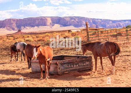 La Monument Valley è considerata una delle meraviglie naturali del mondo a causa della bellezza degli enormi "monumenti" di pietra che si sono evoluti Foto Stock
