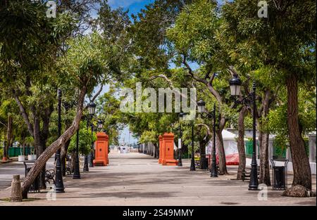 La bellissima passeggiata, El Paseo de la Princesa, nella vecchia San Juan. Foto Stock