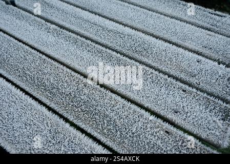 primo piano di ghiaccio e cristalli ghiacciati su un banco in legno ardeggiato a londra, inghilterra, regno unito Foto Stock