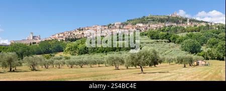 Assisi - il panorama della città vecchia Foto Stock