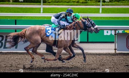 Corse di cavalli Toronto Woodbine, 2 agosto 2024, corse di cavalli Toronto Woodbine su pista fangosa, Ontario Canada Foto Stock