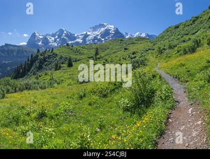 Il panorama delle alpi Bernesi con le cime di Jungfrau, Monch e Eiger. Foto Stock