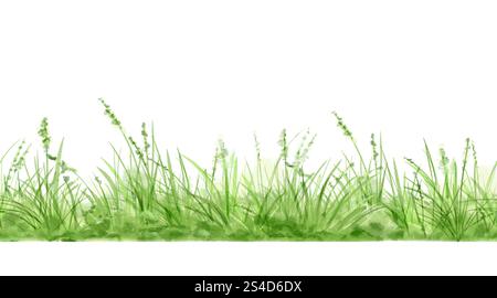 Erba verde e cespugli lussureggianti su un motivo senza cuciture. Illustrazione digitale acquerello. . Verde primaverile e paesaggio naturale, isolato su un dorso bianco Foto Stock