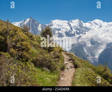 Il massiccio del Monte Bianco e Aigulle du Midi picco - Chamonix. Foto Stock