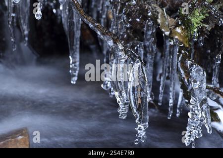 Ghiaccioli su un torrente nel Parco Nazionale Hunsrueck-Hochwald, Renania-Palatinato, Germania, Europa Foto Stock