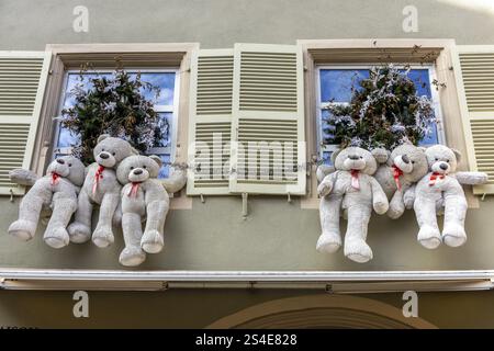 Due finestre di un edificio decorato per Natale con sei orsacchiotti bianchi, Colmar, Alsazia, dipartimento Bas-Rhin, Francia, Europa Foto Stock