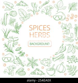 Erbe disegnate a mano e spezie vettore sano piante naturali sfondo. Striscione con aroma di spezie, illustrazione di varie spezie. Erbe disegnate a mano e spezie vettore sano piante naturali sfondo Illustrazione Vettoriale