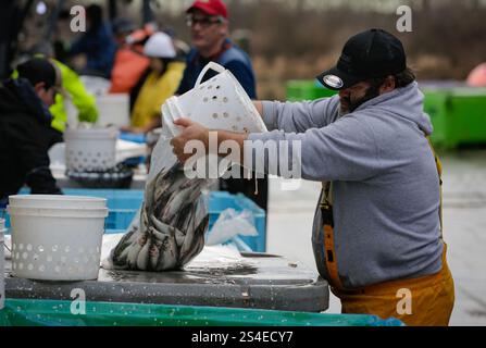 Richmond, Canada. 11 gennaio 2025. Un pescatore prepara aringhe in vendita durante l'evento benefico annuale "Fishermen Helping Kids with Cancer" presso Steveston Harbour a Richmond, British Columbia, Canada, 11 gennaio 2025. Crediti: Liang Sen/Xinhua/Alamy Live News Foto Stock