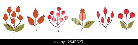 Graziosi rami autunnali cartoni animati con frutti di bosco. Rosehip e rowan. Raccolta autunnale di elementi. Illustrazione Vettoriale