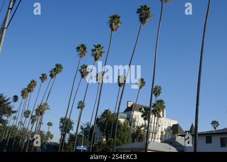 Los Angeles, California, USA 11 gennaio 2025 ex Chateau Elysee costruito nel 1927, e ex casa degli attori Errol Flynn, Clark Gable, Humphrey Bogart, Carole Lombard, Vincent Price, Bette Davis, George Burns, Lillian Gish, Katherine Hepburn, Ginger Rogers, ed Sullivan, Ben Lyon, Edward G. Robinso e molti altri ed è attualmente il Centro celebrativo di Scientology, dal 1969, al 5930 di Franklin Avenue l'11 gennaio 2025 a Los Angeles, California, USA. Foto di Barry King/Alamy Stock Photo Foto Stock