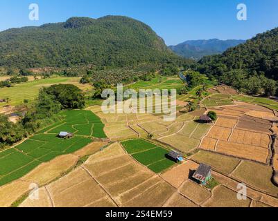 Vista aerea dei campi di riso intorno a Mae Hong Son, Thailandia Foto Stock