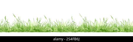 Erba verde e cespugli lussureggianti su un motivo senza cuciture. Illustrazione digitale acquerello. . Verde primaverile e paesaggio naturale, isolato su un dorso bianco Foto Stock