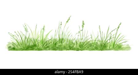 Erba verde e cespugli lussureggianti illustrazione digitale acquerello. . Vegetazione primaverile e paesaggio naturale isolato su sfondo bianco. Erba boscata e S Foto Stock