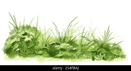 Erba verde e cespugli lussureggianti illustrazione digitale acquerello. . Vegetazione primaverile e paesaggio naturale isolato su sfondo bianco. Erba boscata e S Foto Stock