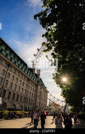 Una vista dettagliata del London Eye, che cattura la sua struttura intricata e le iconiche postazioni passeggeri durante un tranquillo tramonto Foto Stock
