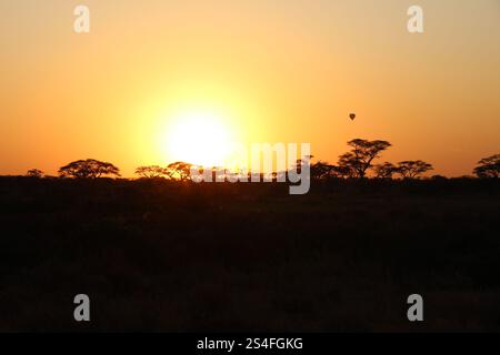 Tramonto africano dorato con alberi sagomati e mongolfiera in Tanzania Foto Stock
