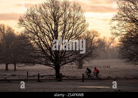 Ciclisti all'alba a Richmond Park, Londra. Gran parte del Regno Unito ha sopportato temperature al di sotto del congelamento durante la notte, mentre il freddo sprigiona in tutto il Regno Unito continua. Data foto: Domenica 12 gennaio 2025. Foto Stock