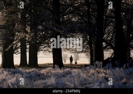 Camminatori di cani all'alba a Richmond Park, Londra. Gran parte del Regno Unito ha sopportato temperature al di sotto del congelamento durante la notte, mentre il freddo sprigiona in tutto il Regno Unito continua. Data foto: Domenica 12 gennaio 2025. Foto Stock
