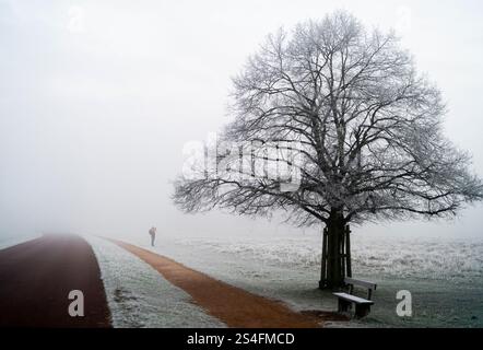 Camminate all'alba a Richmond Park, Londra. Gran parte del Regno Unito ha sopportato temperature al di sotto del congelamento durante la notte, mentre il freddo sprigiona in tutto il Regno Unito continua. Data foto: Domenica 12 gennaio 2025. Foto Stock