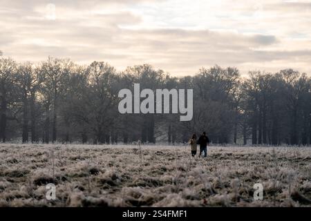 Camminate all'alba a Richmond Park, Londra. Gran parte del Regno Unito ha sopportato temperature al di sotto del congelamento durante la notte, mentre il freddo sprigiona in tutto il Regno Unito continua. Data foto: Domenica 12 gennaio 2025. Foto Stock