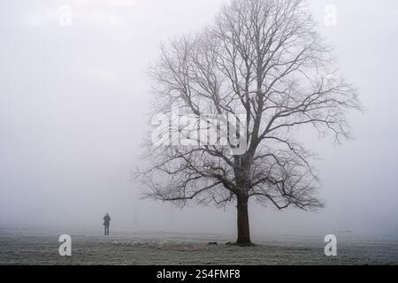 Camminate all'alba a Richmond Park, Londra. Gran parte del Regno Unito ha sopportato temperature al di sotto del congelamento durante la notte, mentre il freddo sprigiona in tutto il Regno Unito continua. Data foto: Domenica 12 gennaio 2025. Foto Stock