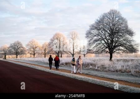Camminate all'alba a Richmond Park, Londra. Gran parte del Regno Unito ha sopportato temperature al di sotto del congelamento durante la notte, mentre il freddo sprigiona in tutto il Regno Unito continua. Data foto: Domenica 12 gennaio 2025. Foto Stock