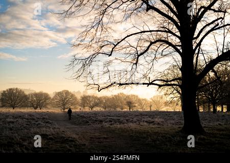 Camminate all'alba a Richmond Park, Londra. Gran parte del Regno Unito ha sopportato temperature al di sotto del congelamento durante la notte, mentre il freddo sprigiona in tutto il Regno Unito continua. Data foto: Domenica 12 gennaio 2025. Foto Stock