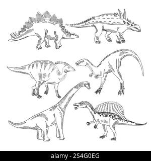 Stegosaurus, triceratops tyrannosaurus e altri tipi di dinosauro. Le immagini disegnate a mano vettoriali isolano. Illustrazione del rettile vintage. Stegosaurus, triceratops tyrannosaurus e altri tipi di dinosauro. Le immagini disegnate a mano vettoriali isolano Illustrazione Vettoriale