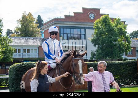 Ascot, Berkshire, Regno Unito. 4 ottobre 2024. IL GUERRIERO MERCIANO guidato dal signor Jack Nicholls si dirige verso l'ippodromo per le gare di handicap dei fantini dilettanti Molton Brown (classe 4) (per i cavalieri dilettanti maschi) all'ippodromo del venerdì d'autunno BetMGM all'ippodromo di Ascot nel Berkshire. Crediti: Maureen McLean/Alamy Foto Stock