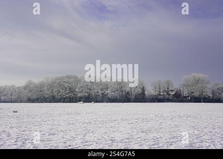 Il 2025 inizia con una copertura di neve nel Victoria Park Widnes, Cheshire. Sabato 11 gennaio 2025. Credito: James Giblin Photography. Foto Stock