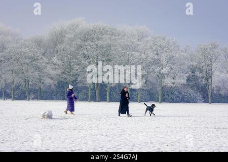 Il 2025 inizia con una copertura di neve nel Victoria Park Widnes, Cheshire. Sabato 11 gennaio 2025. Credito: James Giblin Photography. Foto Stock