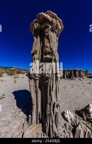 Un grosso ceppo d'albero con molte crepe e fori. Il cielo è blu e il terreno è ricoperto di sporcizia Foto Stock