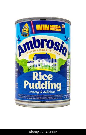Ambrosia budino di riso. Foto Stock