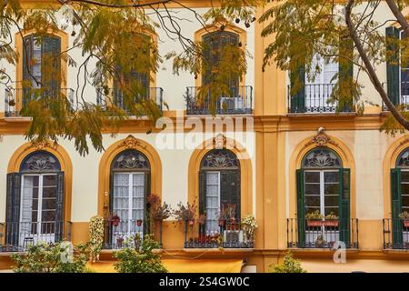 Splendida facciata europea con finestre ad arco e lussureggiante vegetazione a Malaga, Spagna. Foto Stock