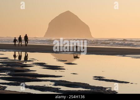 Passeggiate con la famiglia a McPhillips Beach, Oregon. Foto Stock