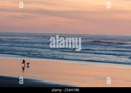 Correre con il cane, Kiwanda Beach, Oregon. Foto Stock