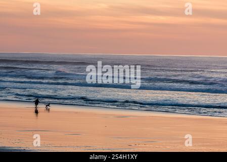 Correre con il cane, Kiwanda Beach, Oregon. Foto Stock