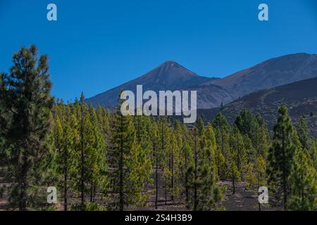 Il punto panoramico "Mirador De Samara" con vista sul Pico del Teide Foto Stock