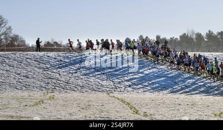 i corridori si uniscono all'inizio della gara di fondo del club della serie invernale, haughley, suffolk, inghilterra Foto Stock