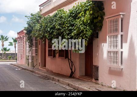 Strade coloniali e balconi. Centro storico, Cartagena de Indias, Colombia Foto Stock