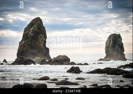 Formazioni rocciose lungo Cannon Beach, Oregon. Lungo la Pacific Coast Highway, l'autostrada 101 che corre lungo la costa dell'Oregon. Foto Stock