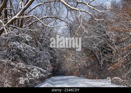 Vadnais Heights, Minnesota. Le nevicate fresche creano una splendida scena su un sentiero in inverno. Foto Stock