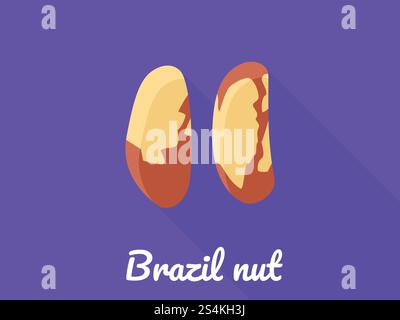 Icona del dado del Brasile. Illustrazione piatta dell'icona vettoriale della noce brasiliana per la progettazione Web. Icona della noce brasiliana, stile piatto Illustrazione Vettoriale