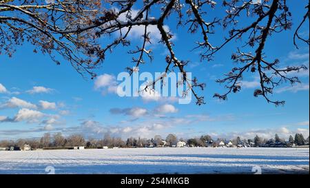Campo innevato con accoglienti case nella natura Foto Stock