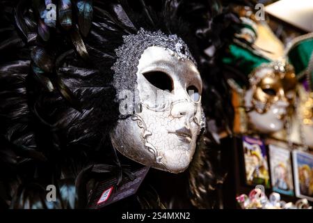 Intricata maschera veneziana d'argento con piume esposte in una carn Foto Stock